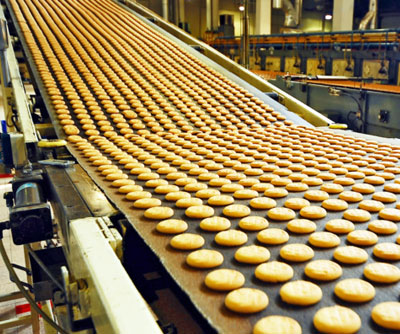 bakery-products-transfer-conveyor-belt