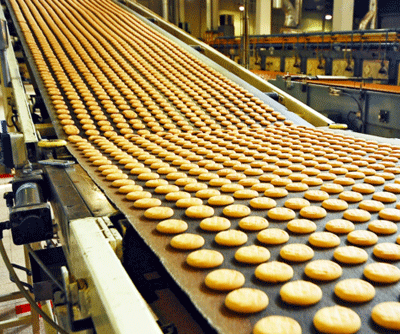 Food Grade Conveyor Manufacturer
