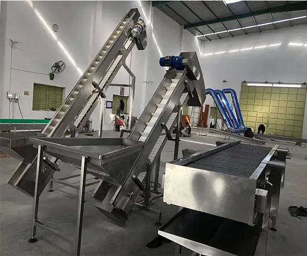 Stainless Steel Conveyor System